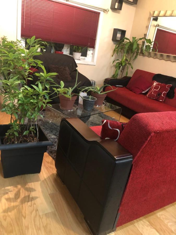 Brooklyn Blue House Homestay