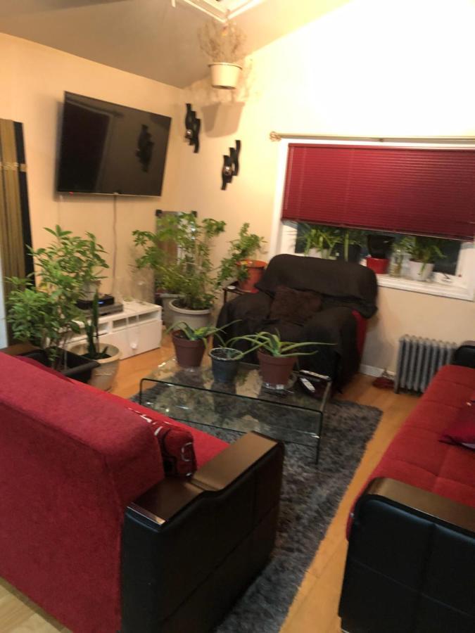 Brooklyn Blue House Homestay New York