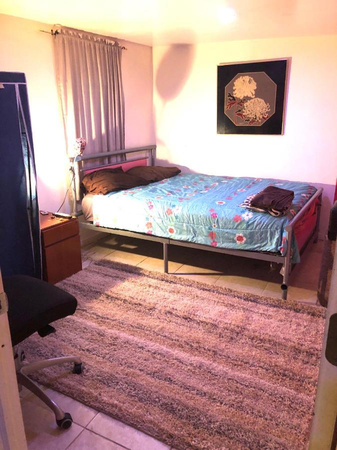 Homestay Brooklyn Blue House New York