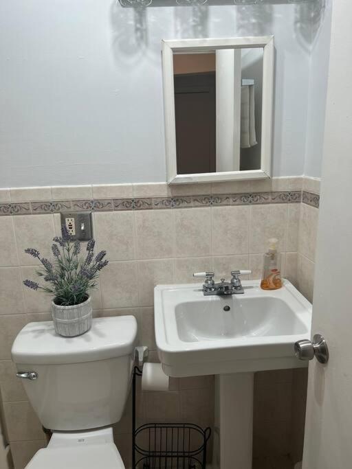 Cozy Lovely 2 Bedroom Apt, 5 Mins From Jfk Apartamento *