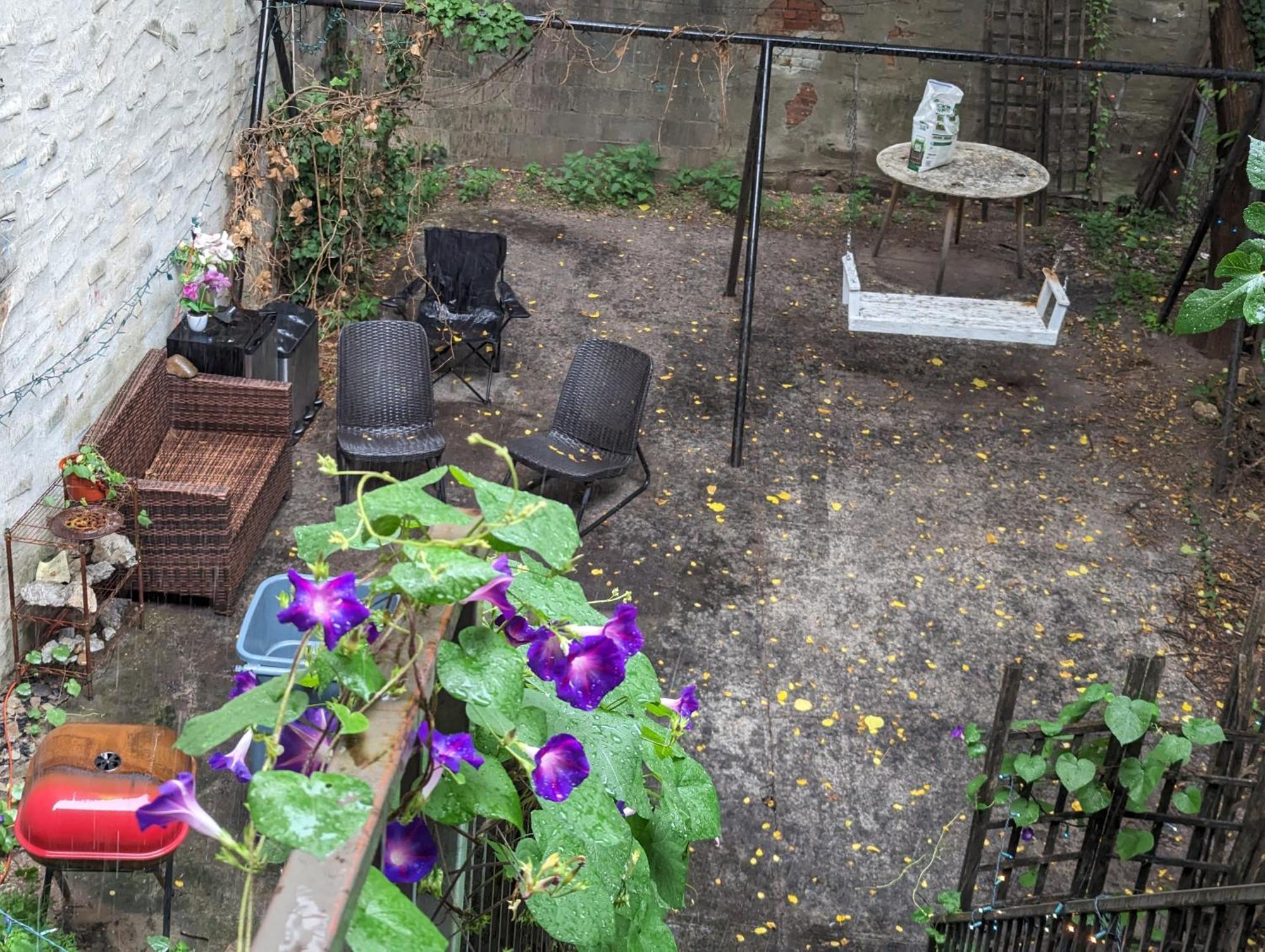 Central And Affordable Williamsburg Private Bedroom Close To Subway Nova York