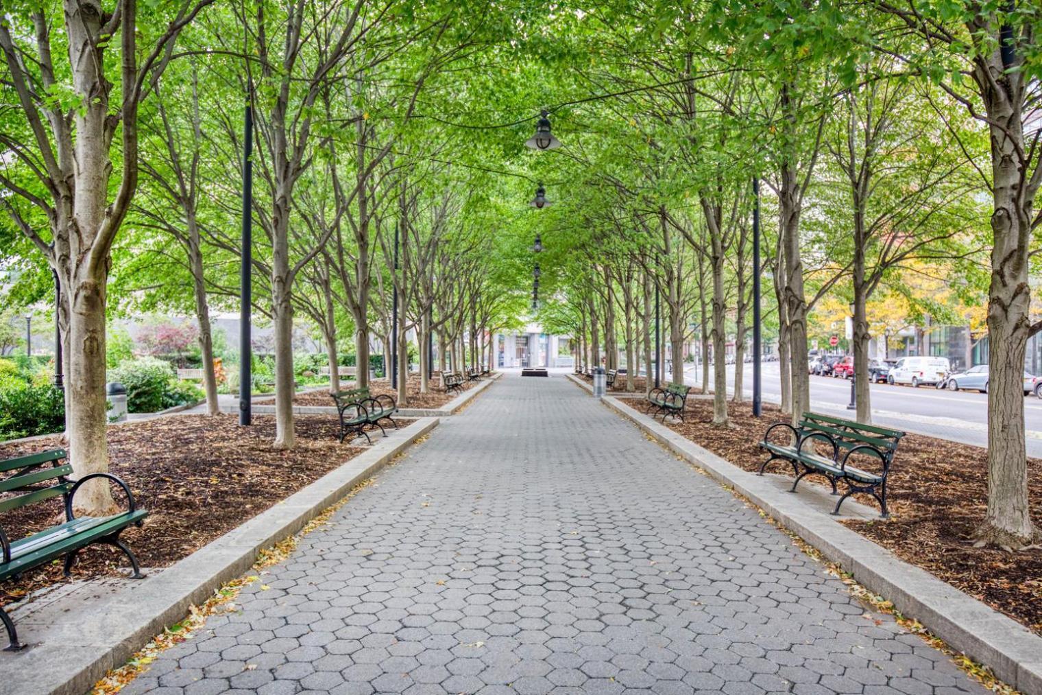 Modern Fidi 1br W Roofdeck Gym Doorman Nyc-443 New York