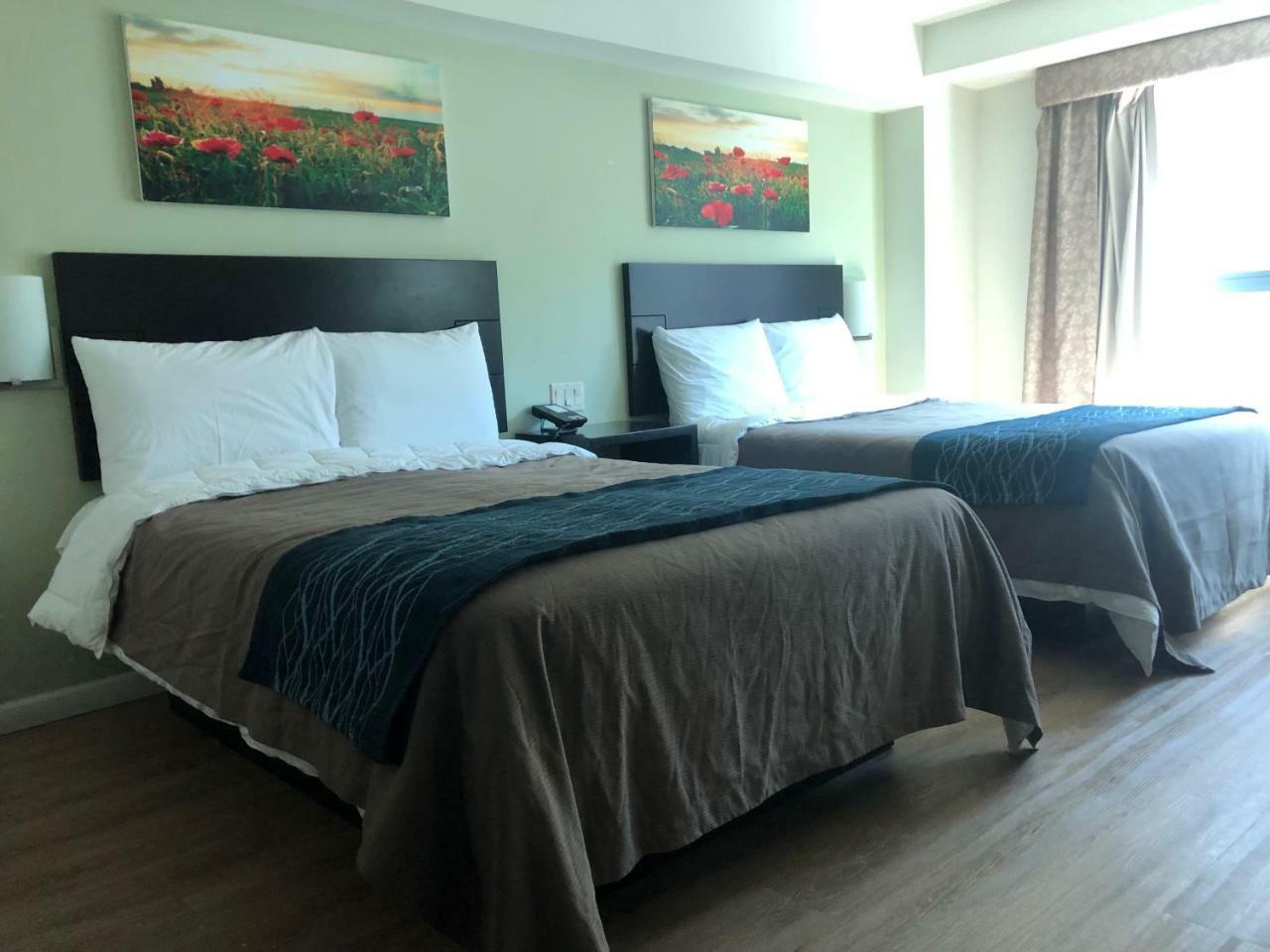Comfort & - Kew Gardens Near La Guardia Airport Hotel 3*