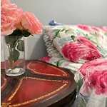 3 Room Near Jfk