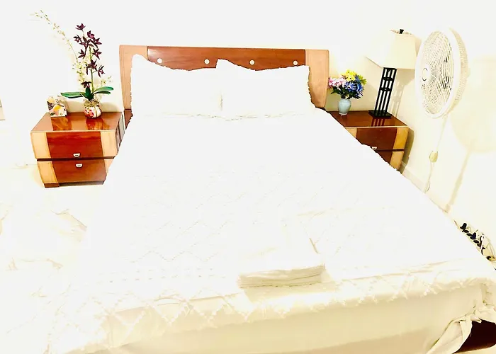 Visit & Relax