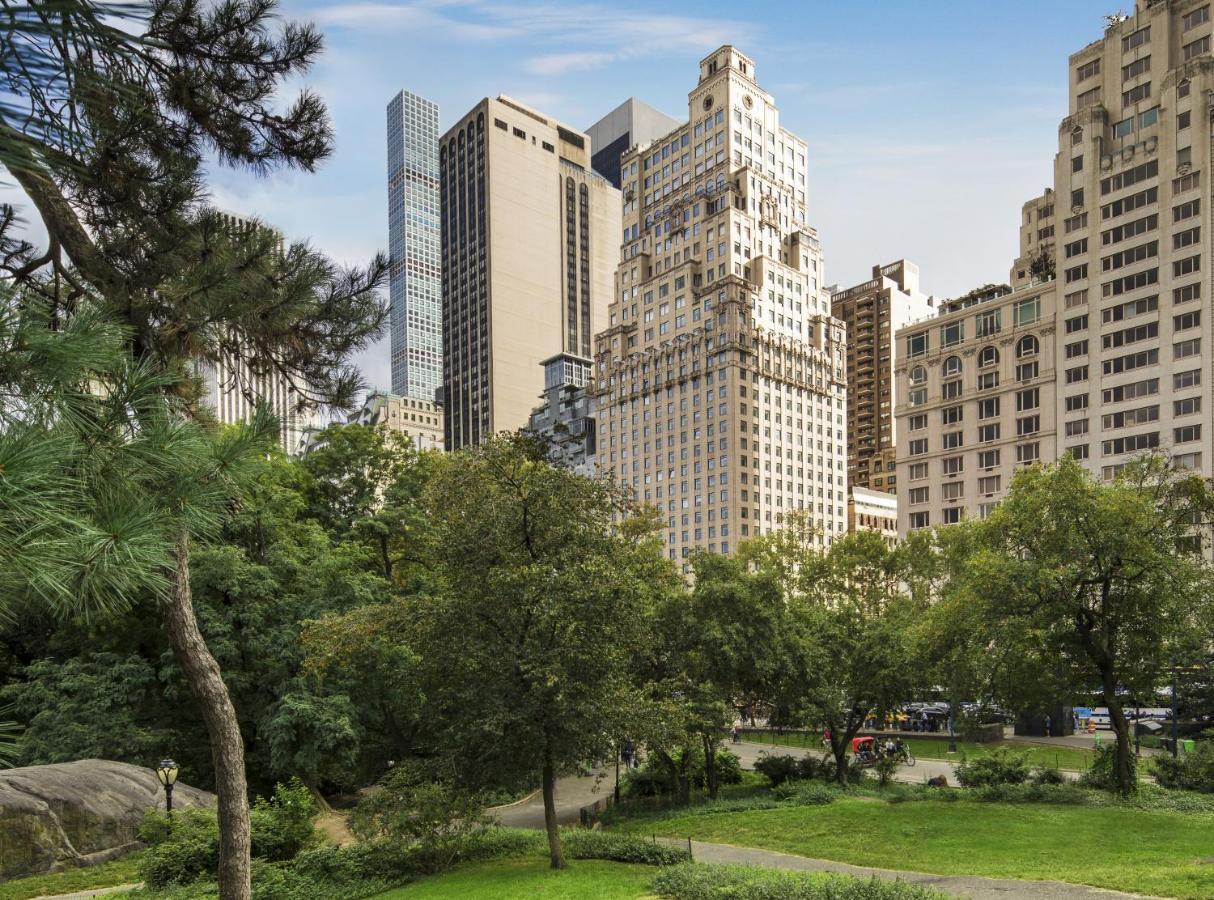 The Ritz-carlton New York, Park 5*