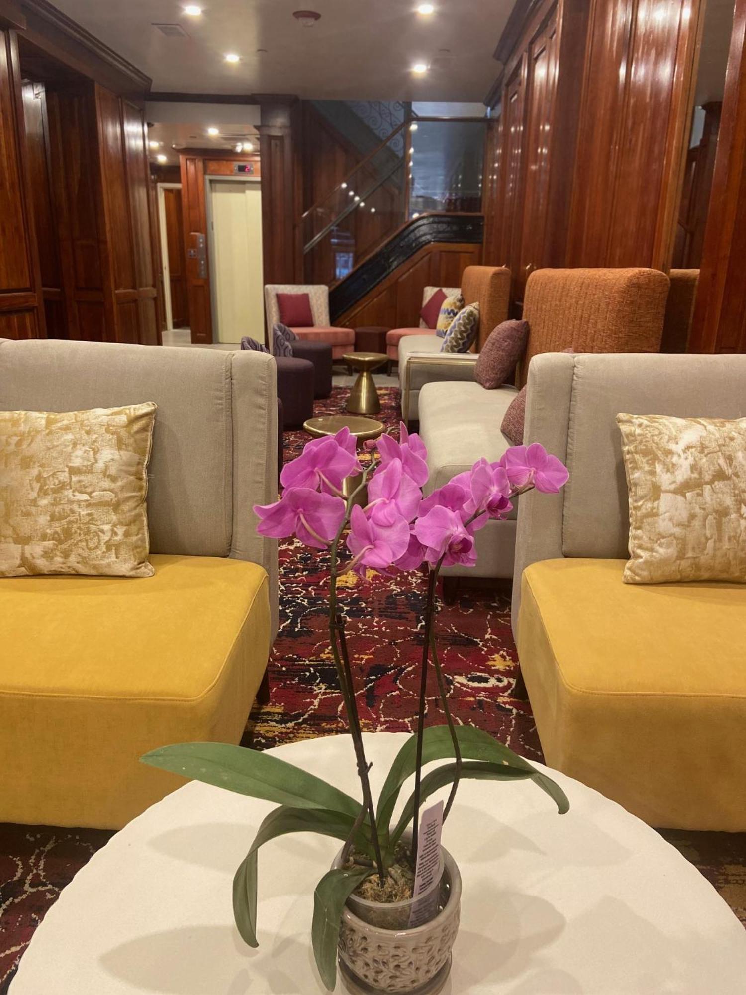 Hotel The Mayfair Times Square, Ascend Collection 3*