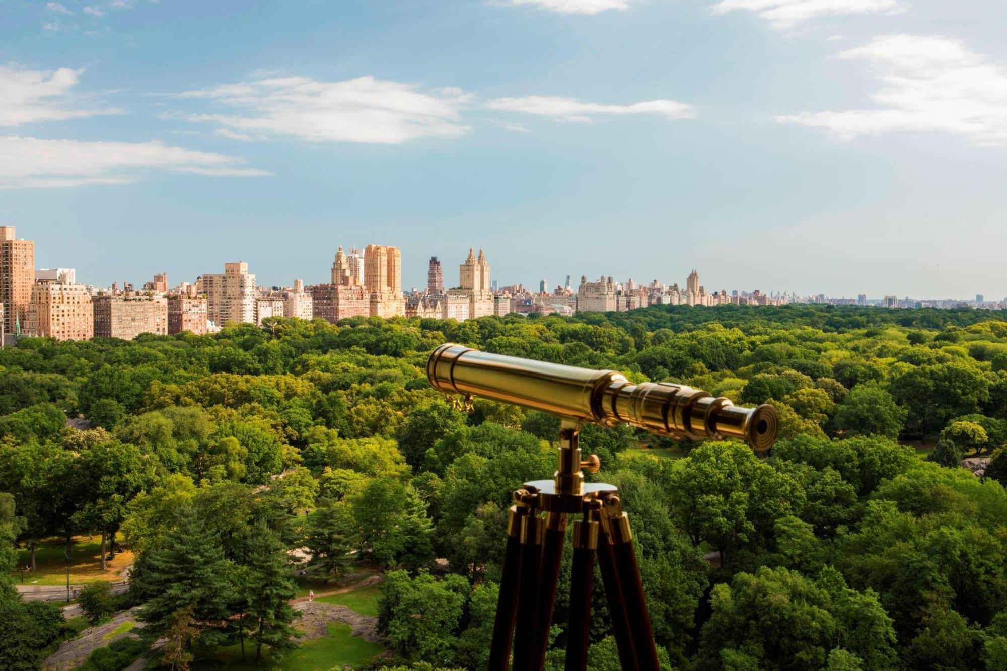 Hotel The Ritz-carlton New York, Park 5*