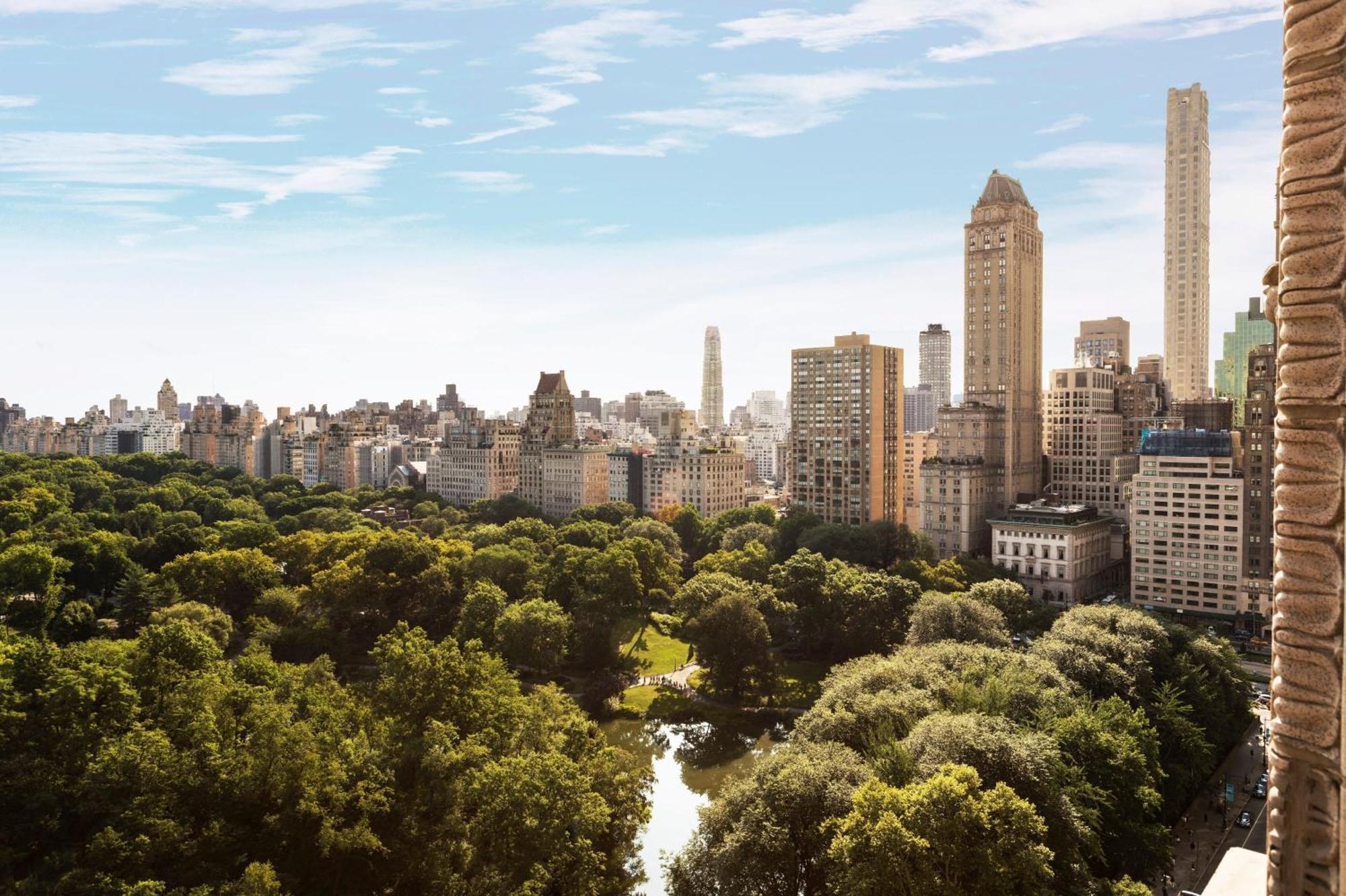 The Ritz-carlton New York, Park 5* New York