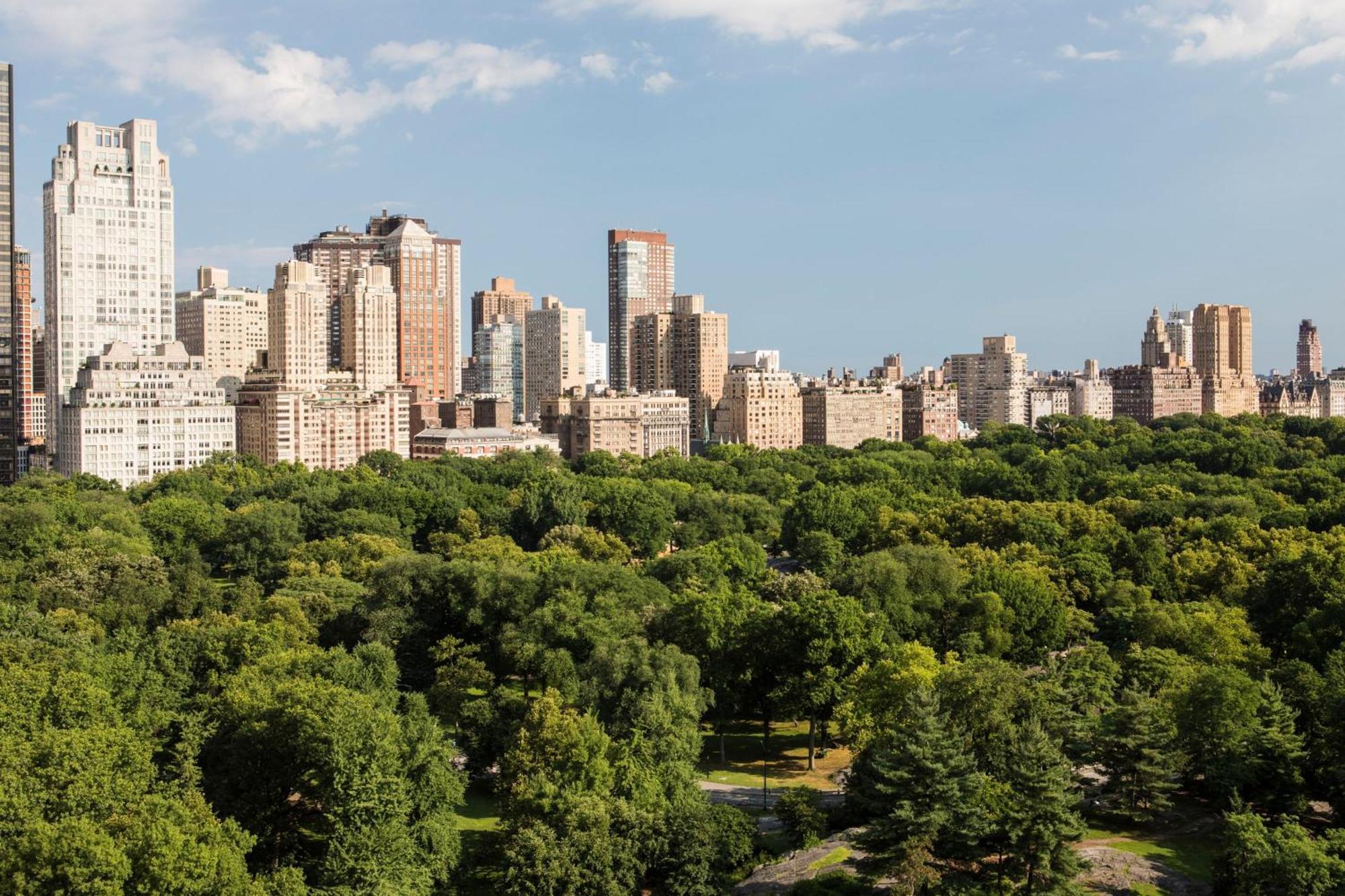 Hotel The Ritz-carlton New York, Park New York