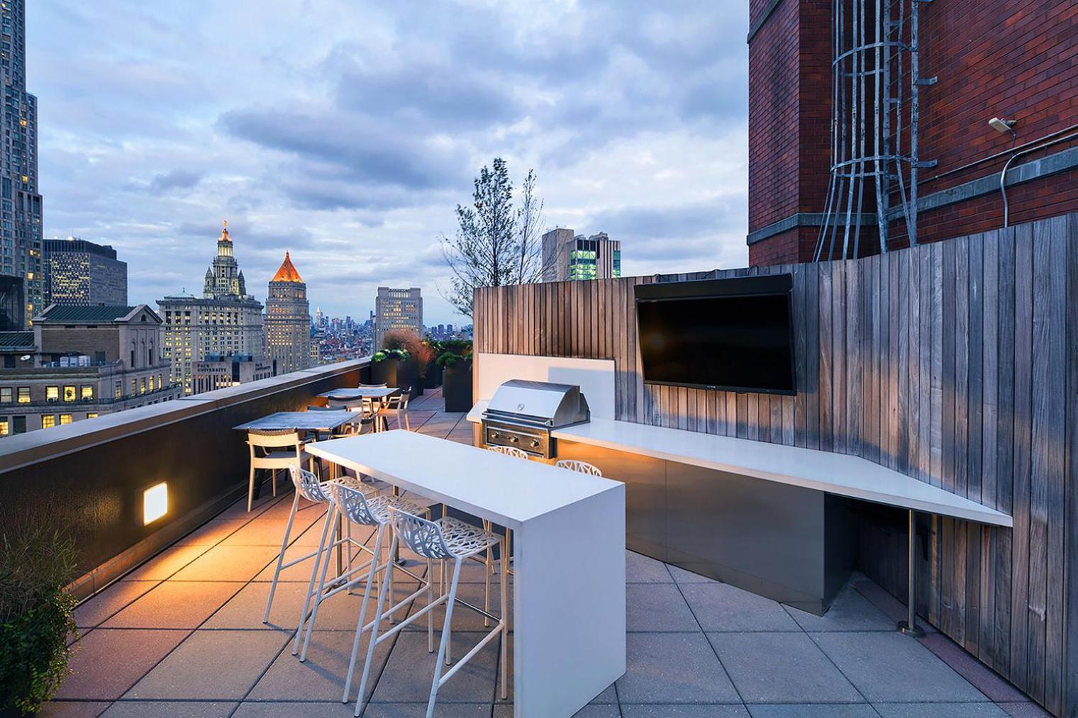 Apartment Fidi 1br W Wd Doorman Elevator Roof Nyc-771