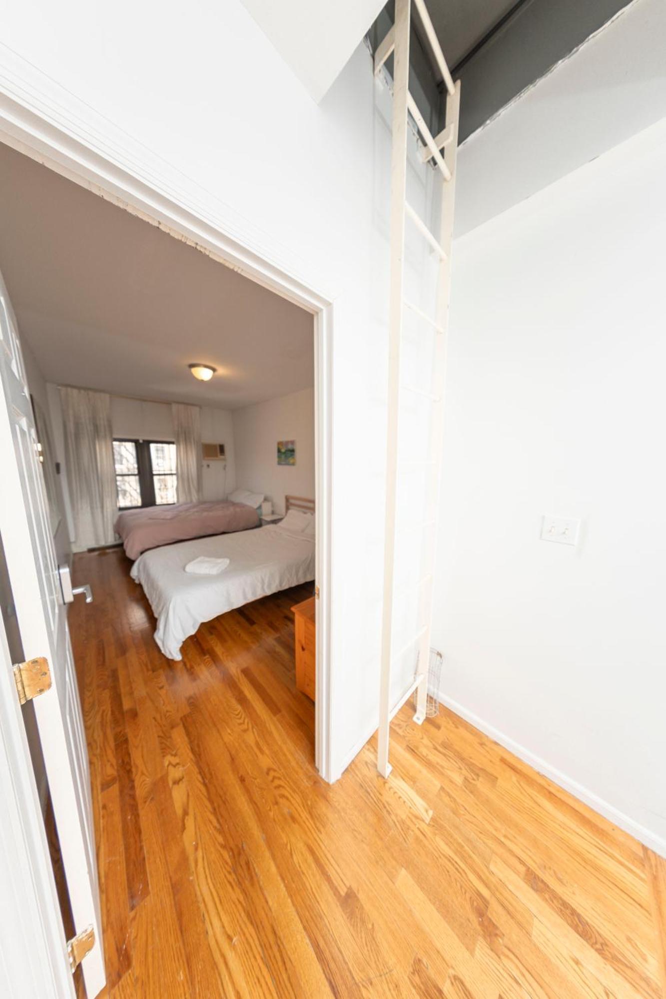 Friendly In Williamsburg Brooklyn * New York