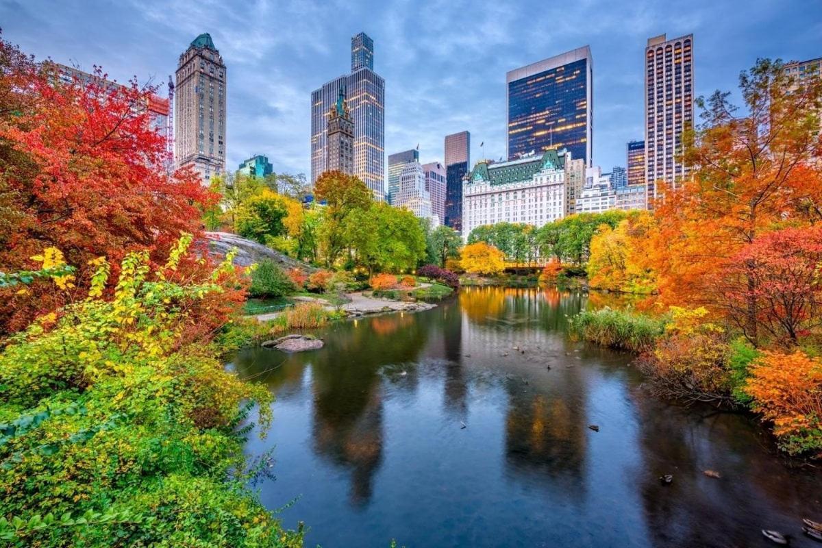 Your Nyc Escape! 1br Just Steps From Park Apartamento