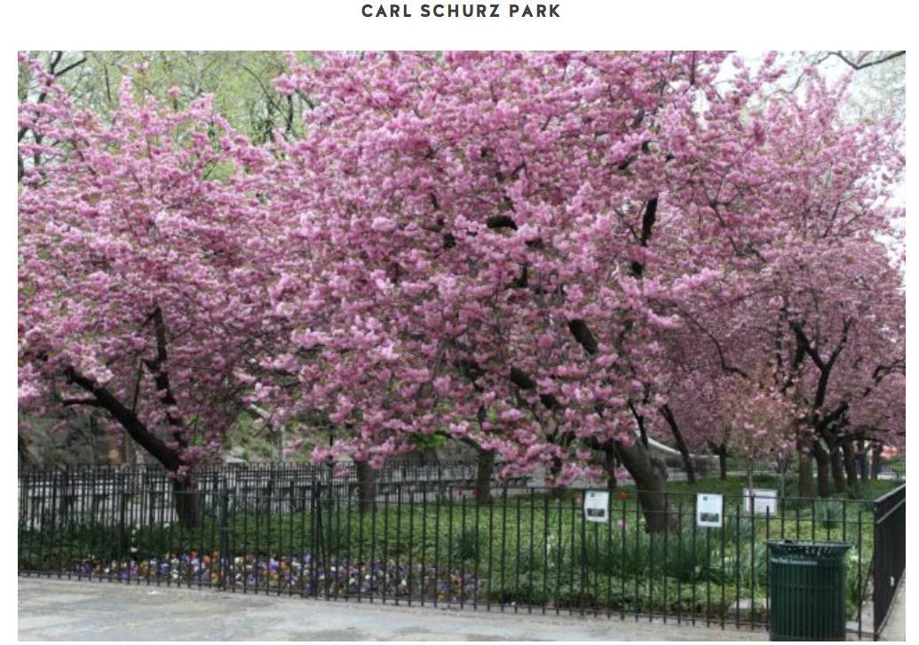 Beautiful Manhattan Apartamento Nova York