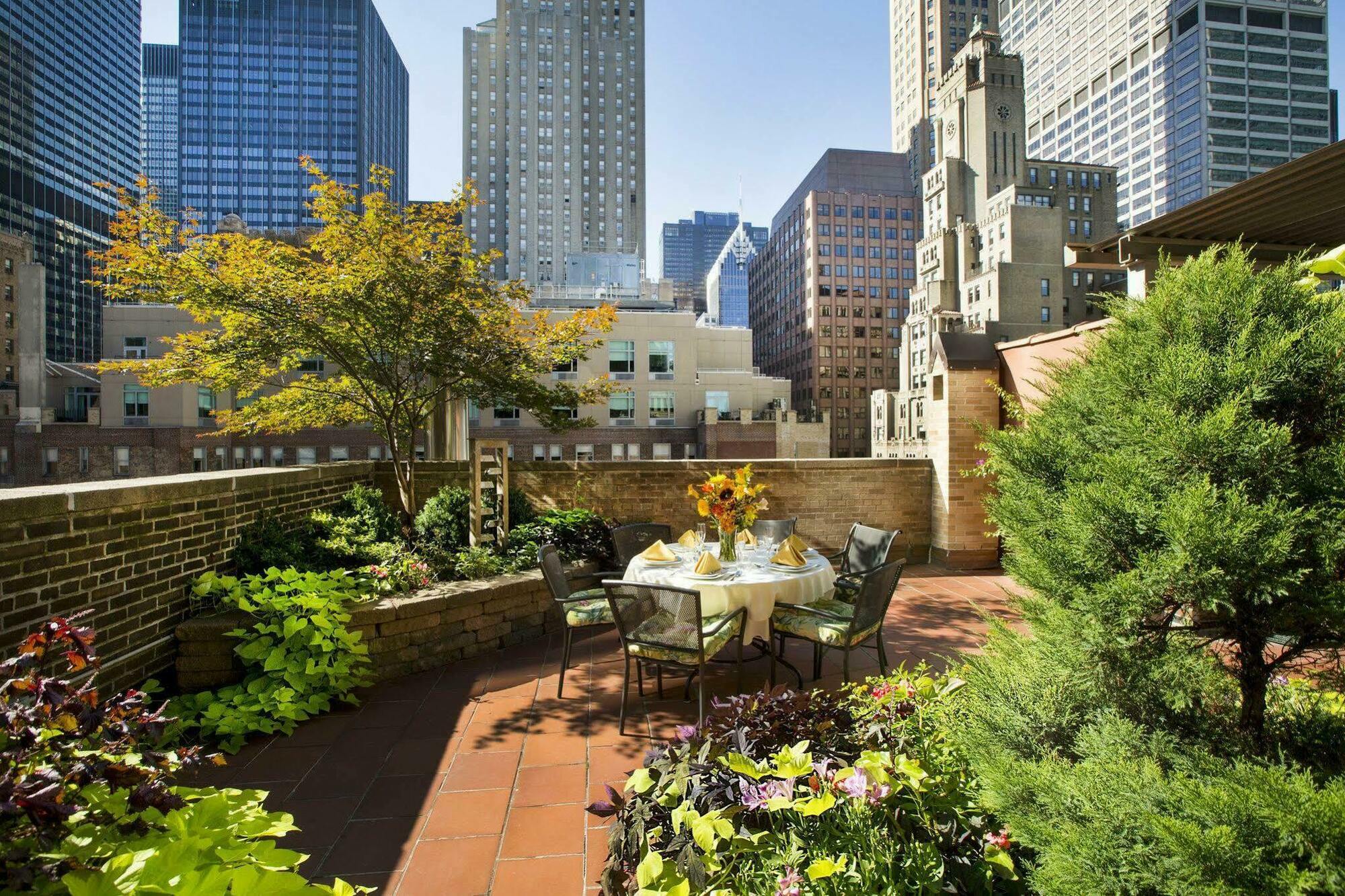 San Carlos 4* Nova York